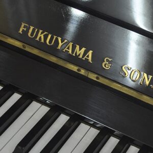 1 fukuyama sons wilhelm serial 6264