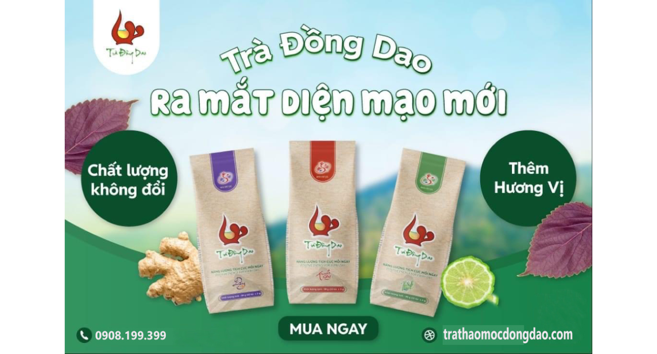 trà thảo mộc đồng dao